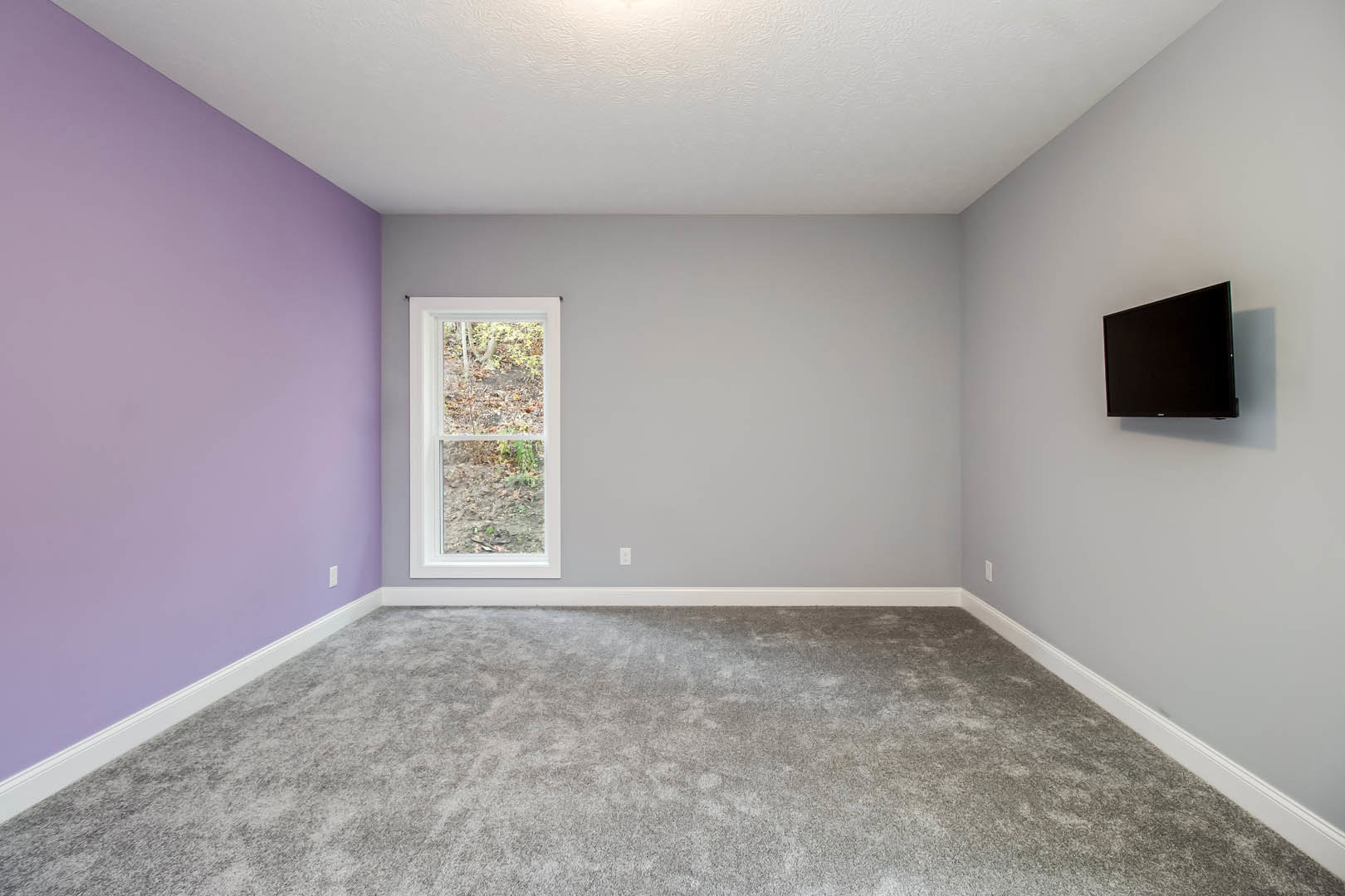 Purple-walled room with carpeted floor, large window overlooking forest, black screen mounted on wall, white surface illuminated by overhead light, and white light switch on purple