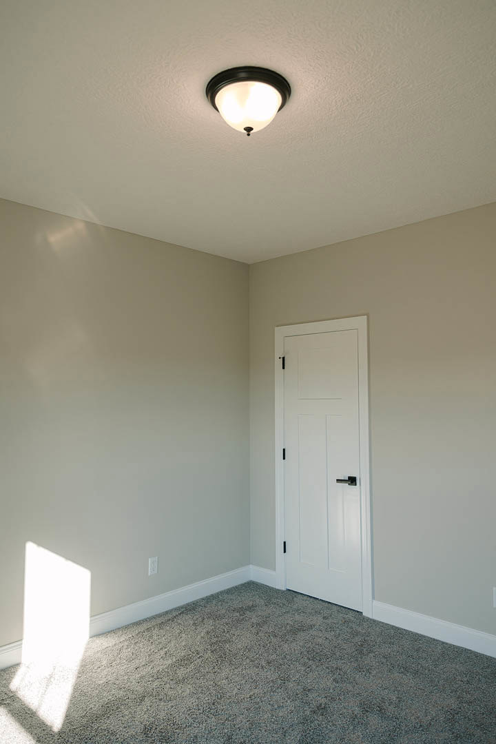 White paneled door with black handle, textured carpet flooring, plaster walls, ceiling-mounted light fixture, soft natural light illuminating the room.