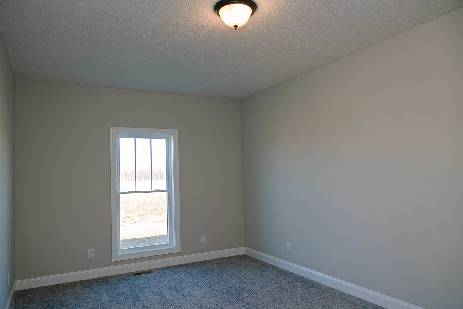 Carpeted room with white walls, large window overlooking grassy field, and modern ceiling light fixture