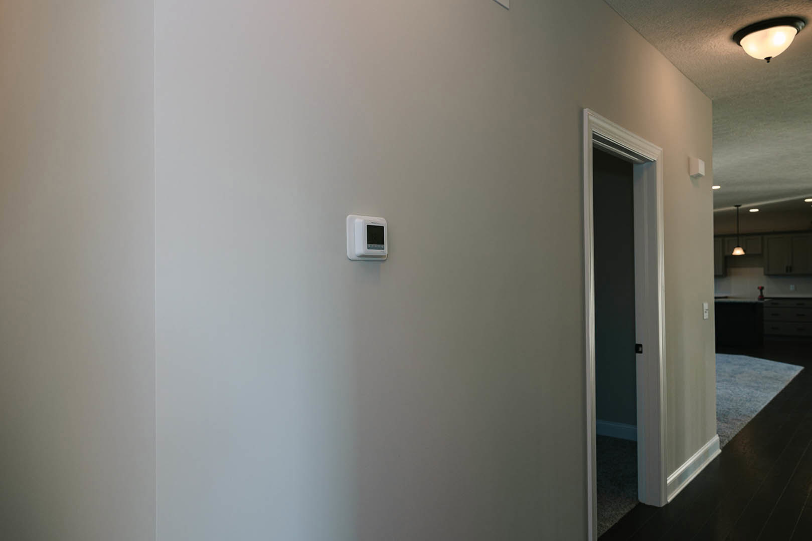 White thermostat mounted on smooth plaster wall beside closed white door, ceiling light fixture overhead.