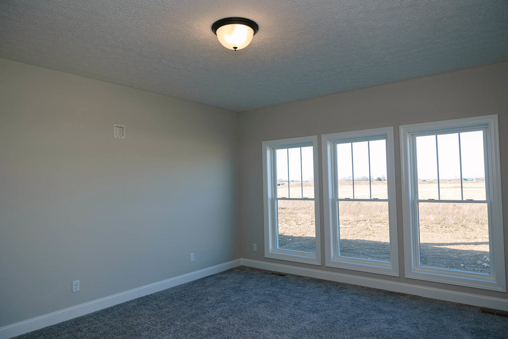 Spacious room with multiple windows, blue carpet flooring, white plaster walls, ceiling light fixture, and view of grassy field outside