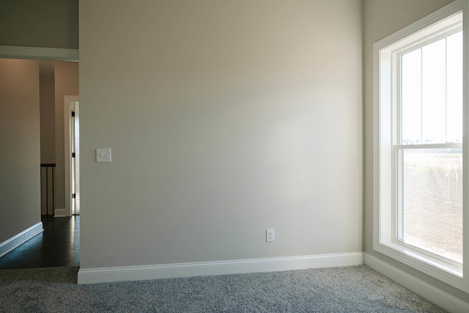 White-painted room with beige carpet flooring, single-pane window with white blinds, wooden door, and light switch on smooth plaster wall.
