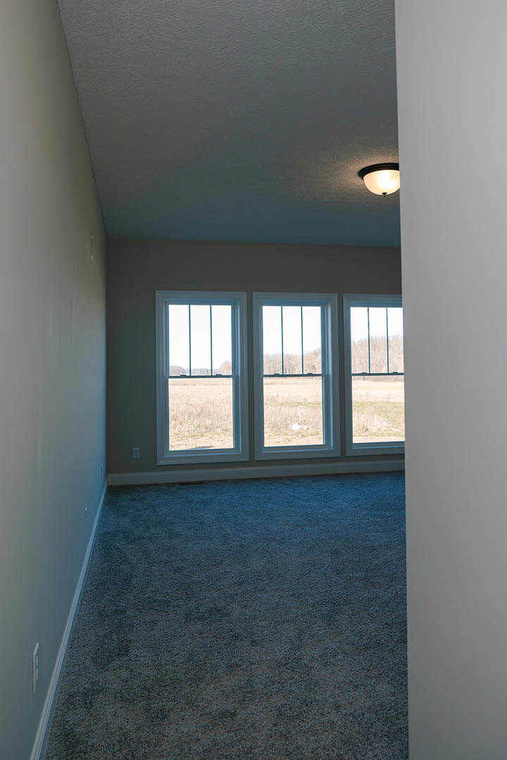 Carpeted room with multiple windows featuring white trim, white walls, ceiling light fixture, and a door; daylight streams in, showing a view of grassy field outside.