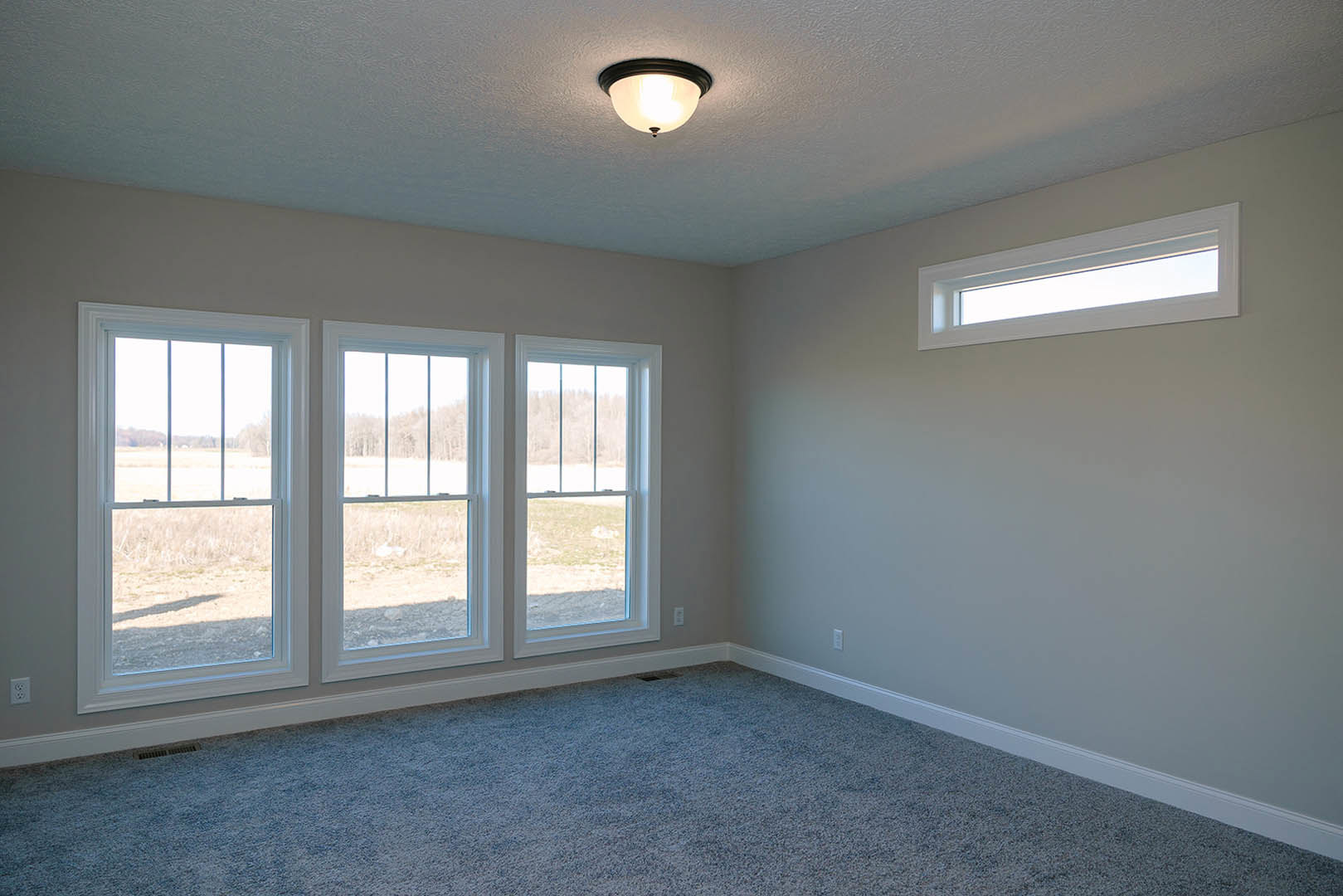 Carpeted room with white plaster walls, ceiling-mounted light fixture, and a row of large windows overlooking grass and trees.