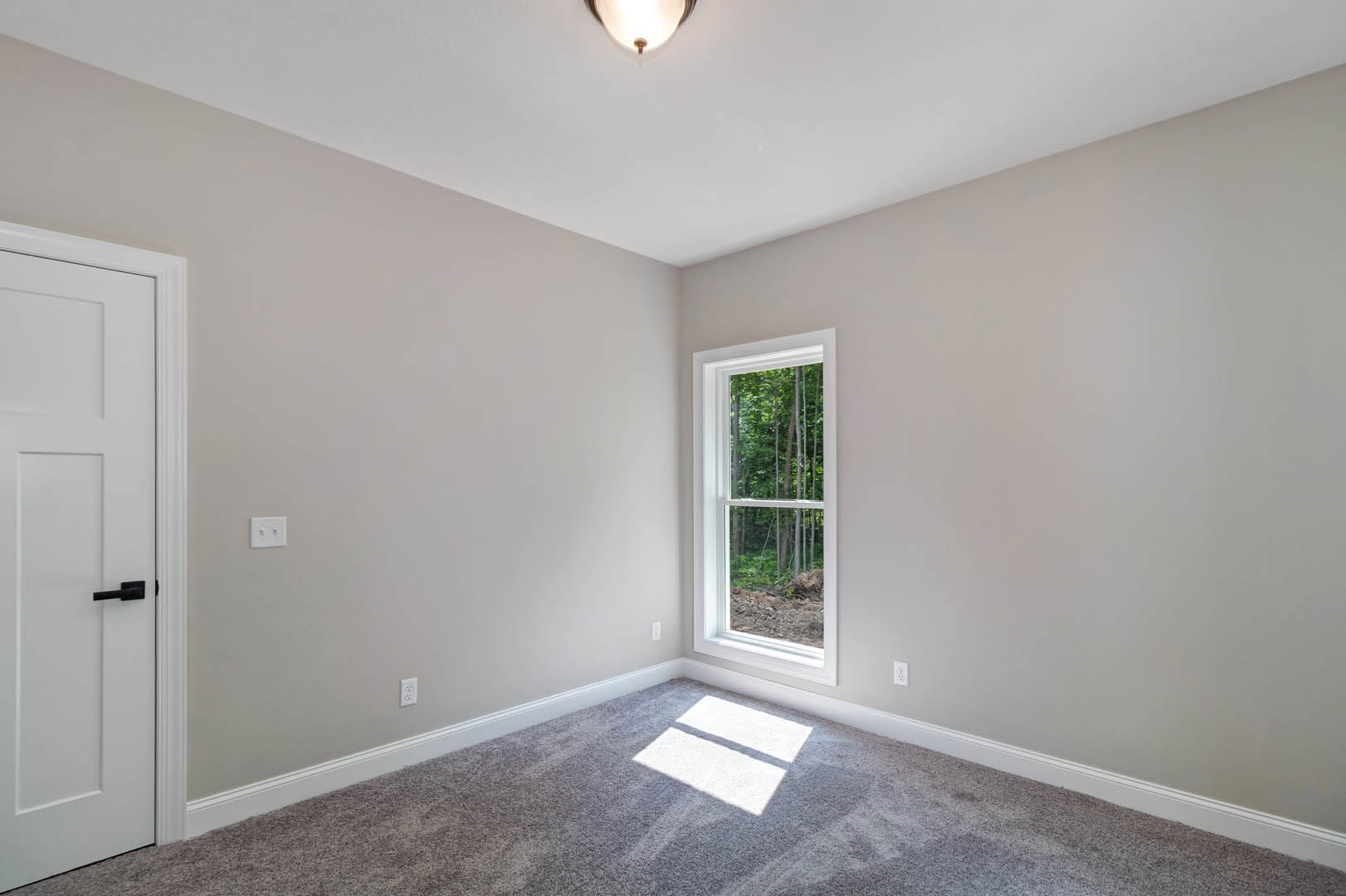 Sunlit carpeted room with white walls, large window overlooking trees, white door, and light switch on wall