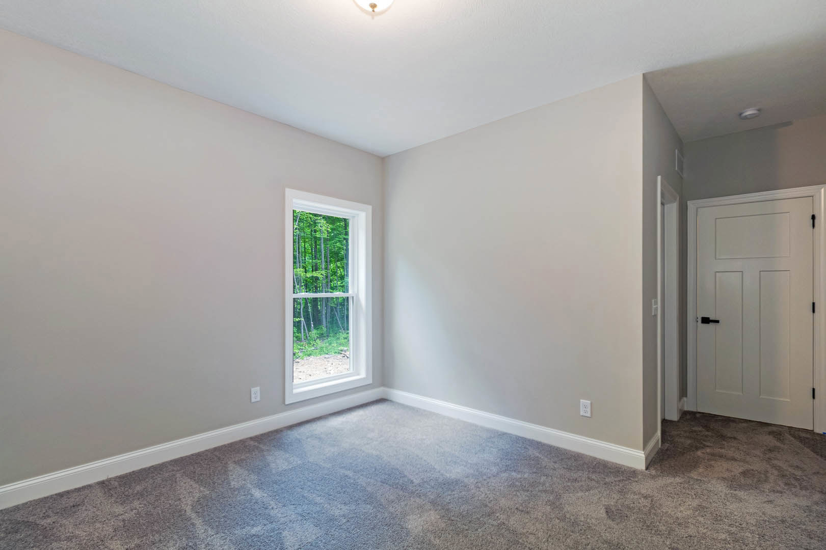 Carpeted room with white walls, large window overlooking trees, white door with black handles, ceiling light fixture