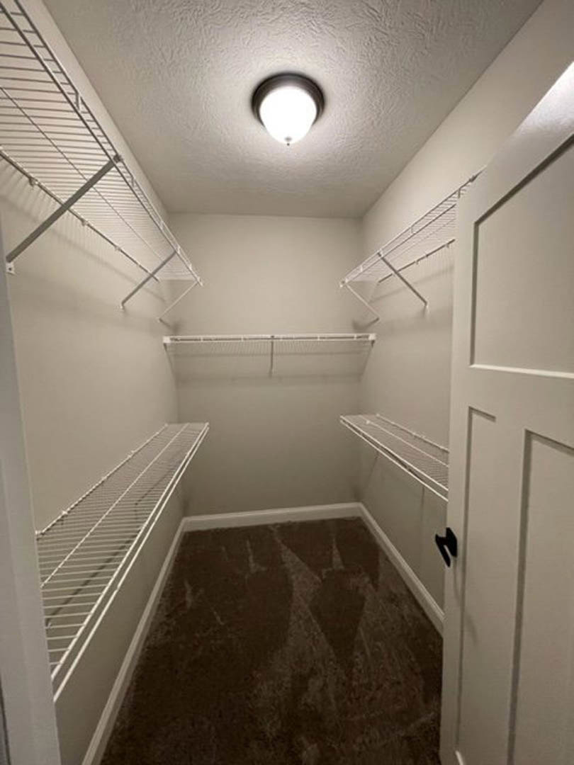 Walk-in closet with white shelving, ceiling light fixture, dark brown carpet flooring, and white paneled door