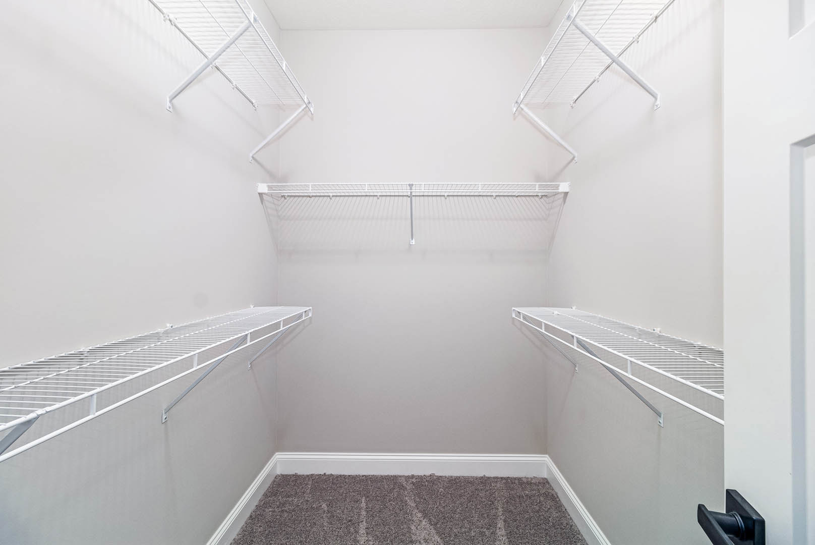 Spacious empty walk-in closet with white shelving, metal hanging rod, and grey carpet flooring