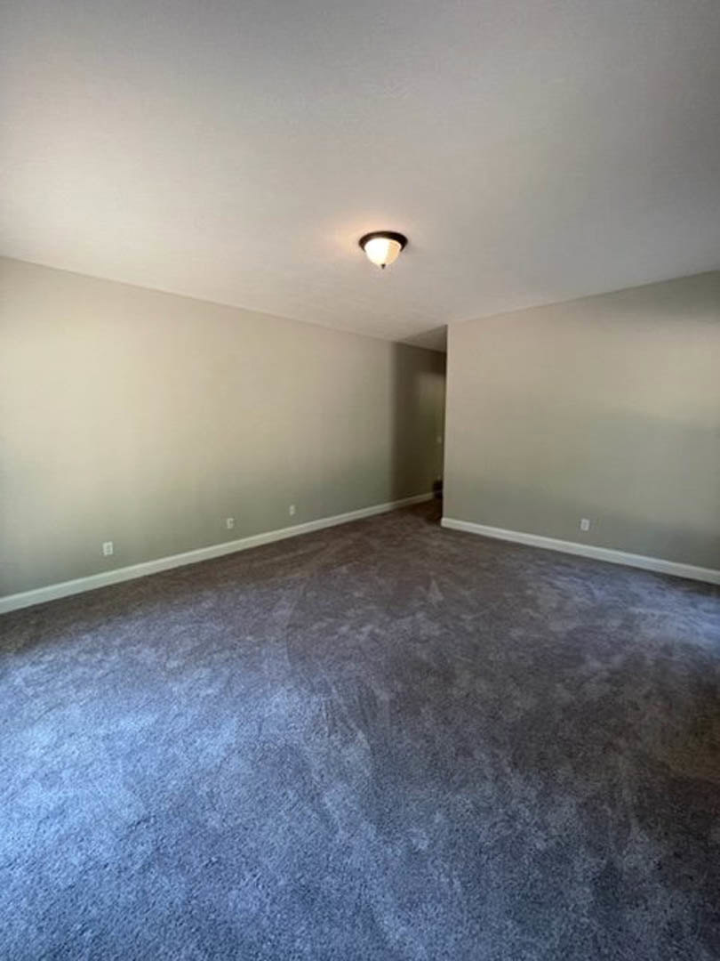 Carpeted room with white walls, ceiling-mounted light fixture, and window letting in natural light