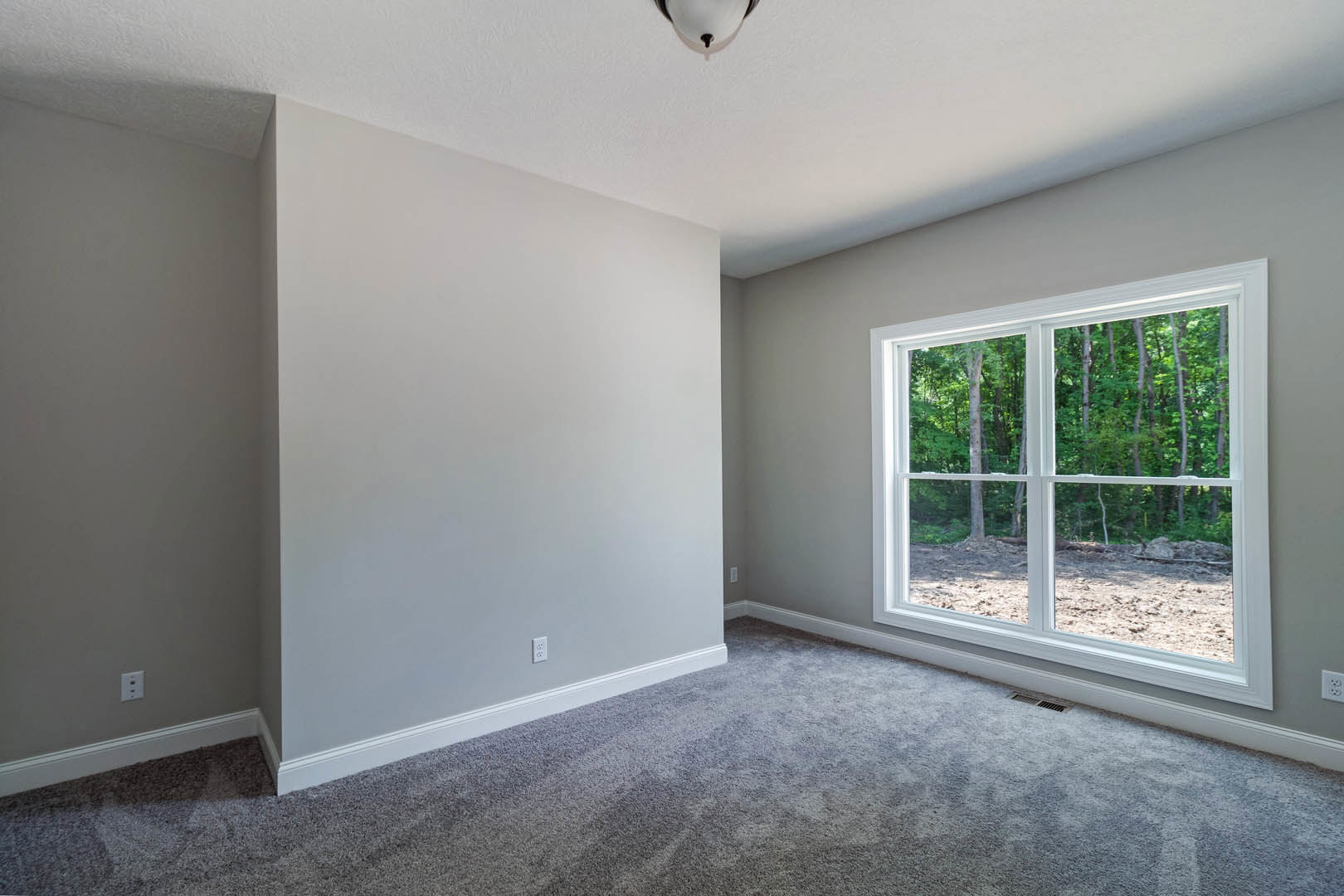Bright room with white plaster walls, large window overlooking green trees, and soft grey carpet flooring