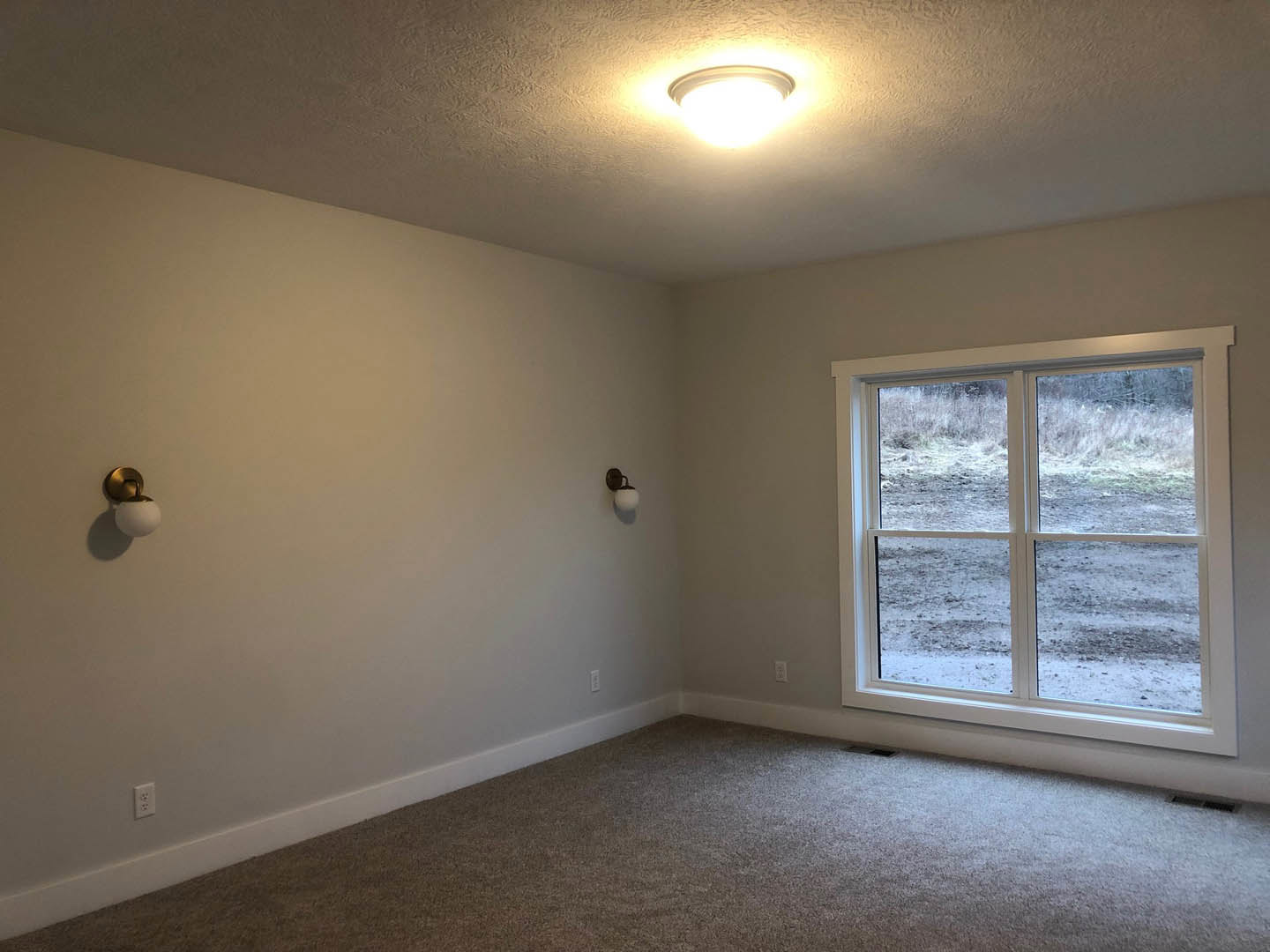 Bedroom with beige carpet flooring, white plaster walls, large window overlooking a dirt field, ceiling light fixture, and white door with silver handle