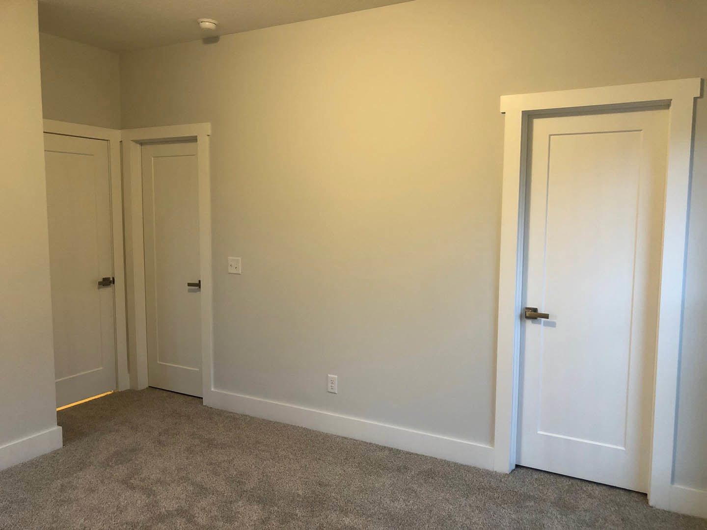 Carpeted room with two white doors, one featuring a silver handle and the other a black handle, surrounded by smooth plaster walls.