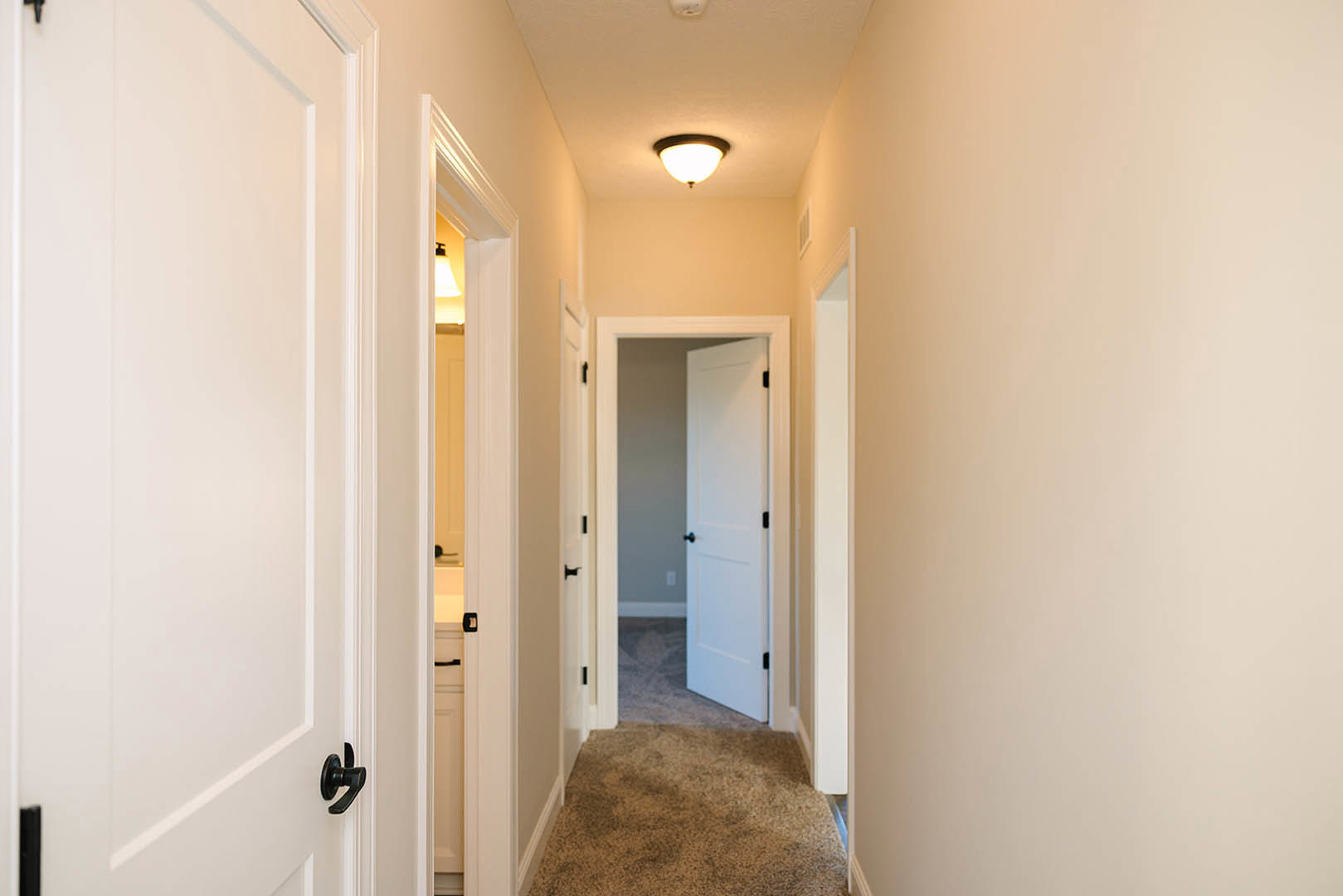 Hallway with white carpet flooring, multiple white paneled doors, white door frames, brushed metal door handles, and a ceiling-mounted light fixture
