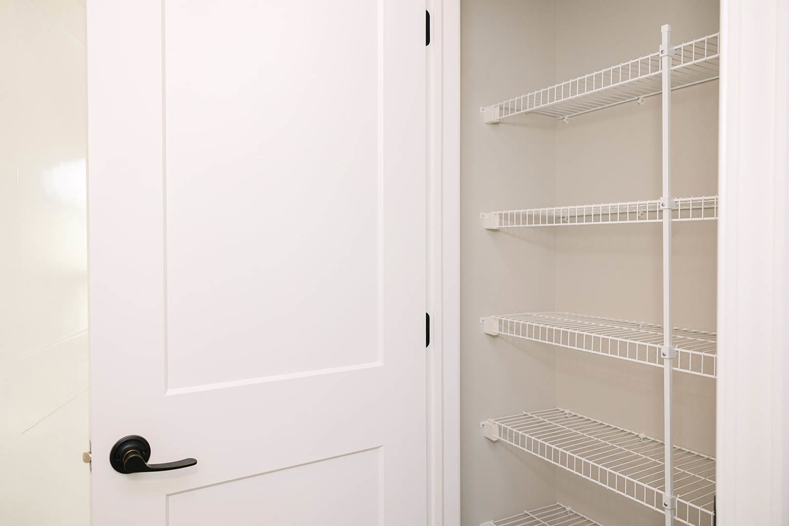 White paneled door with black hinges next to white wire shelving inside a closet, close-up of brushed metal door handle