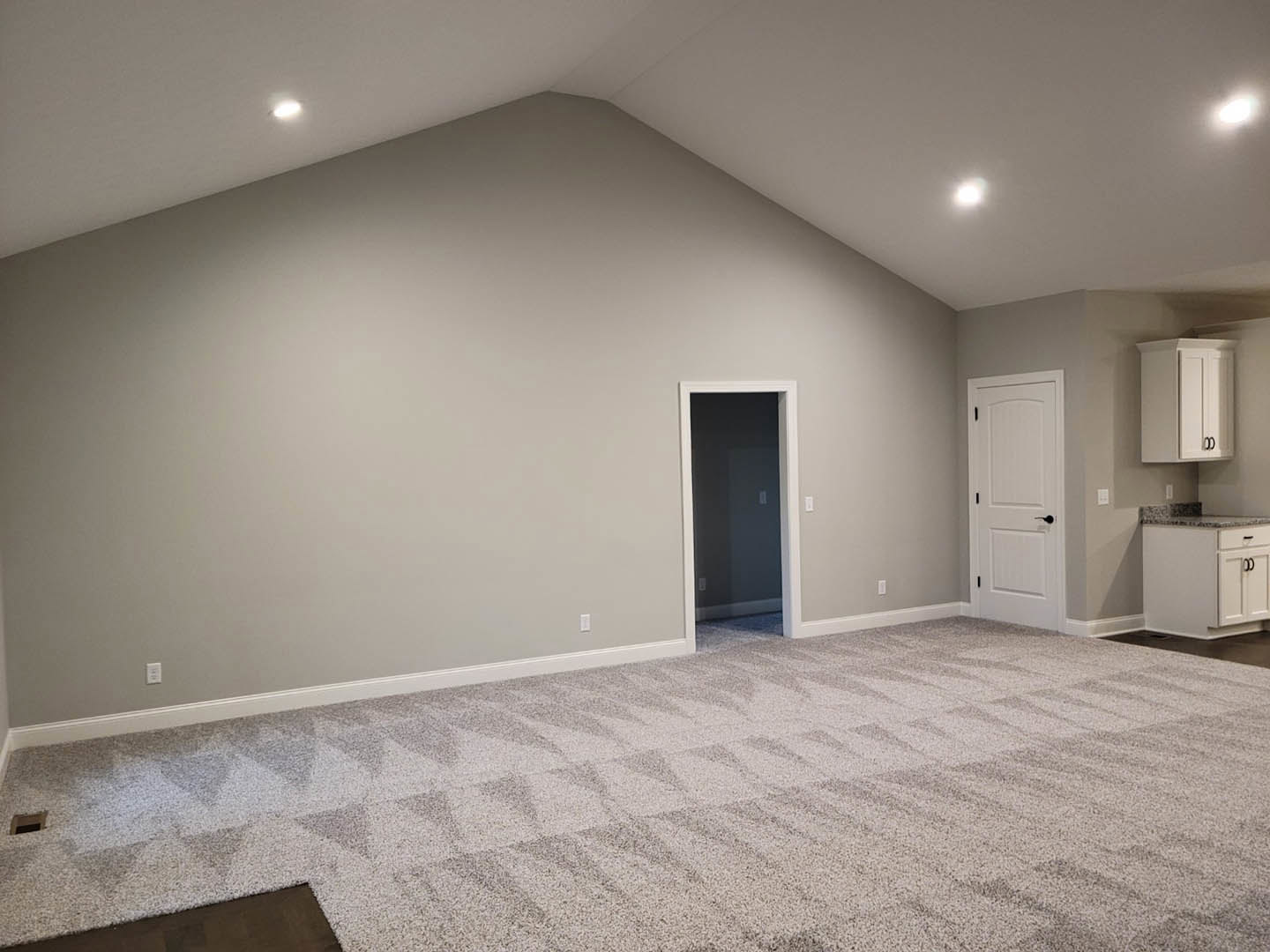 Carpeted room with patterned flooring, white door featuring black handle and nearby light switch, white cabinet with black handles, neutral walls, and ceiling lighting