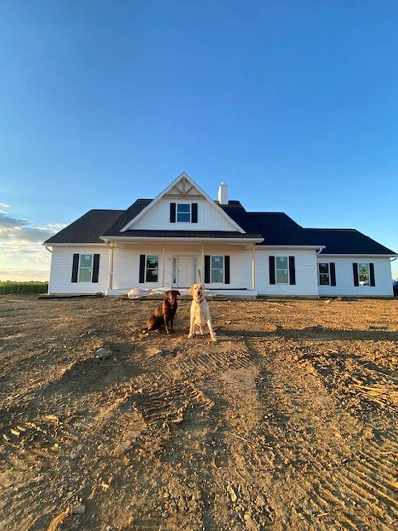 Two dogs sitting on dirt in front of a light-colored house with large windows, cloudy sky overhead
