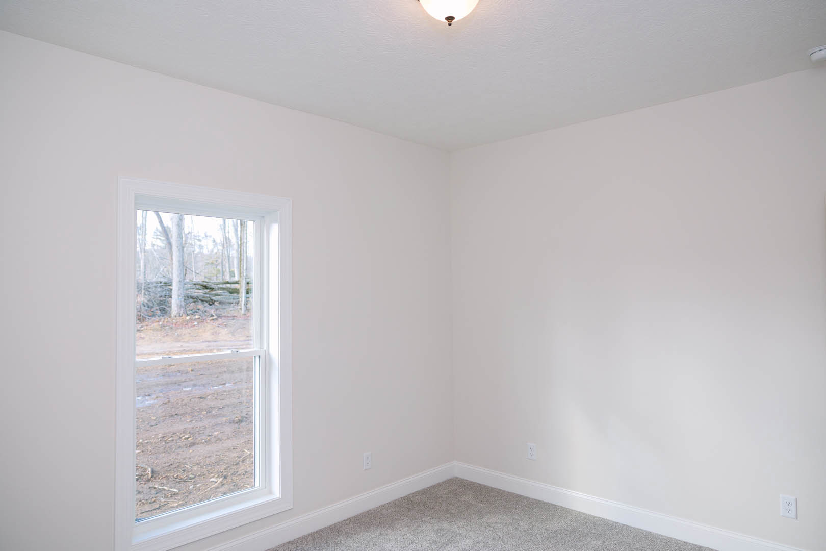 Carpeted room with white plaster walls, large window overlooking forested landscape, crown molding trim