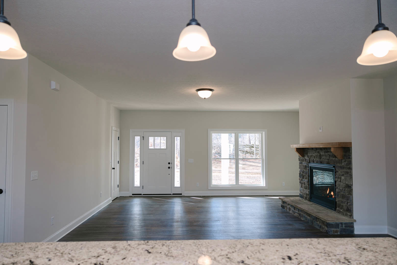 Living room with hardwood floors, white walls, built-in fireplace with burning fire, white door featuring glass panes, ceiling light fixture, and window close-up.