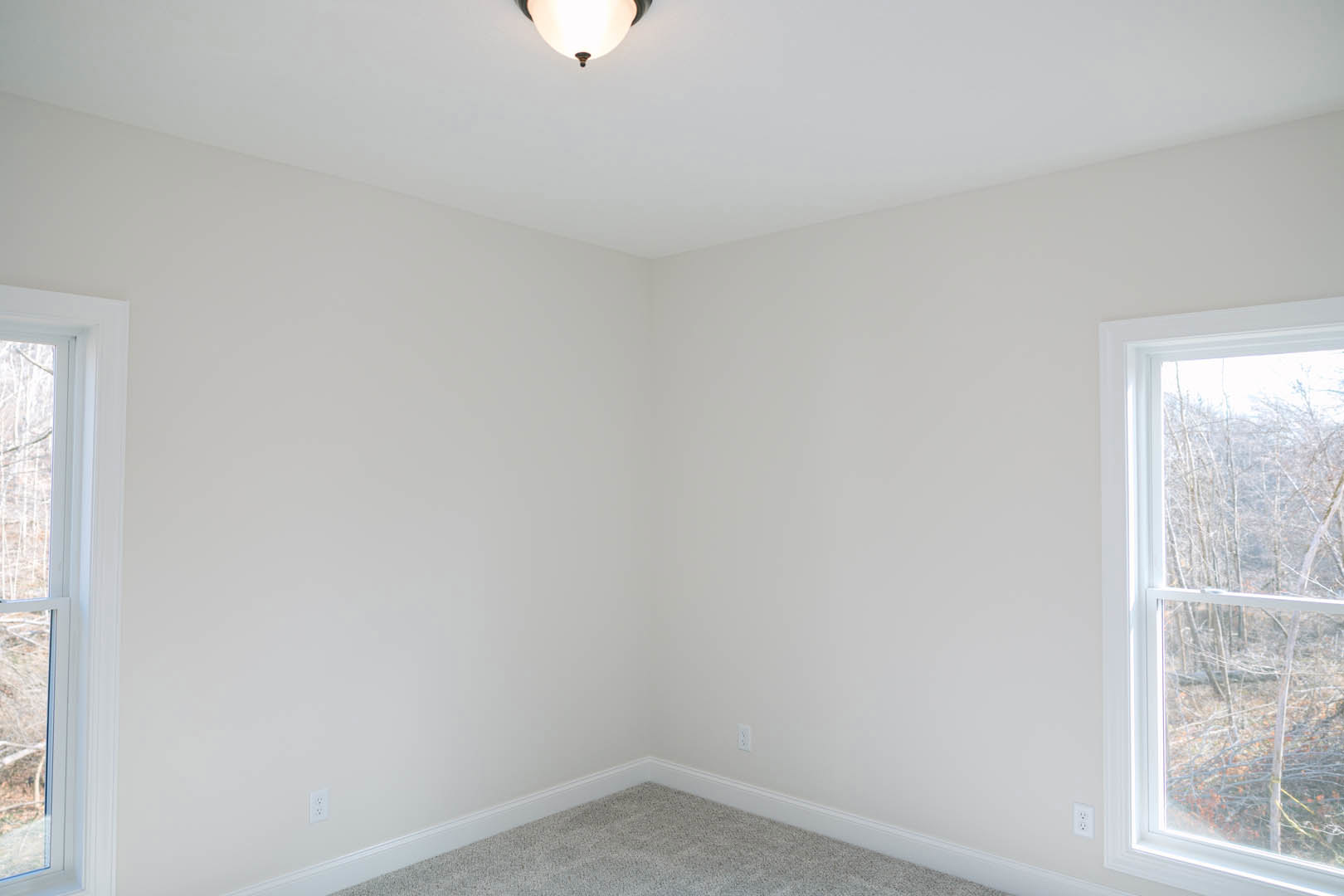 White plaster walls with decorative molding, carpeted floor, large window framing leafy trees outside, wood door, ceiling-mounted light fixture