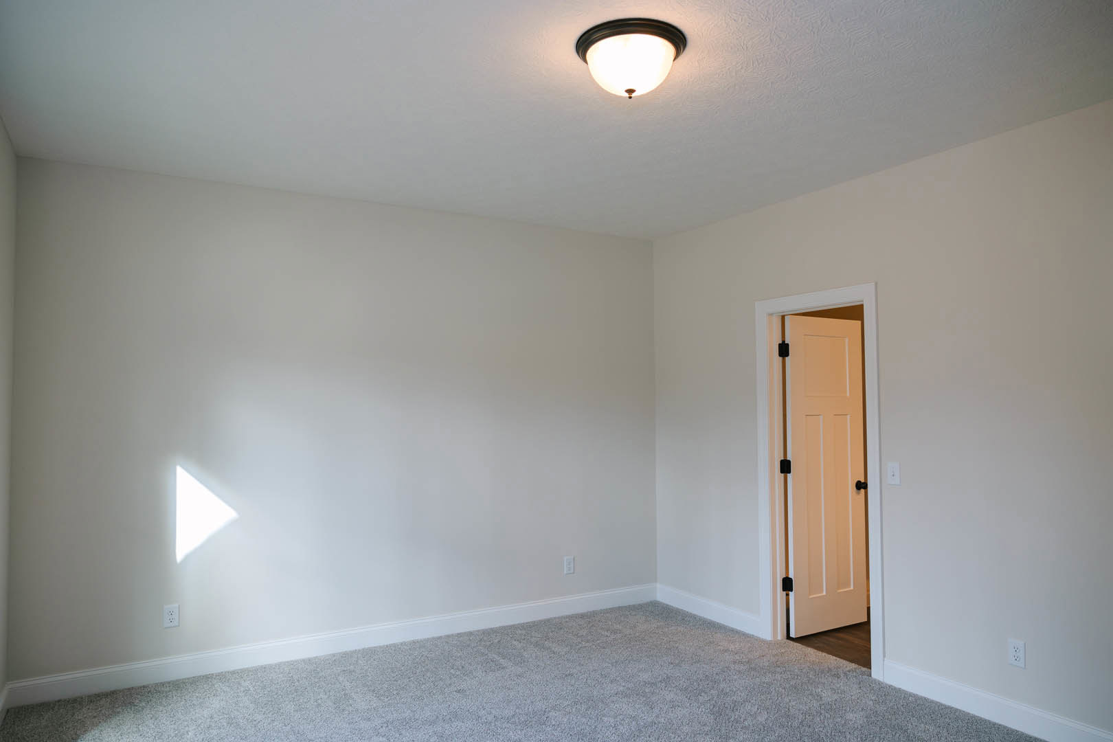 White plaster walls, paneled door, beige carpet flooring, ceiling-mounted light fixture, sunlight streaming through window