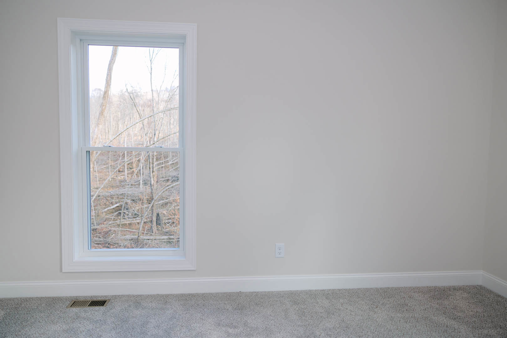 Carpeted bedroom with large window overlooking leafy trees, white plaster walls, and simple window blinds