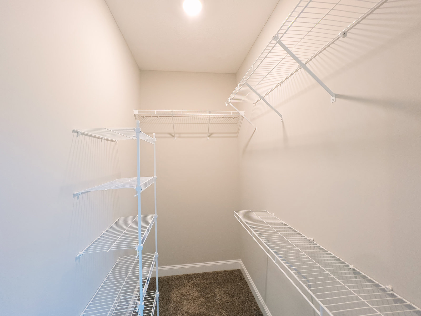 White built-in shelves mounted on a plaster wall, with a close-up view of carpet flooring and bright overhead lighting.