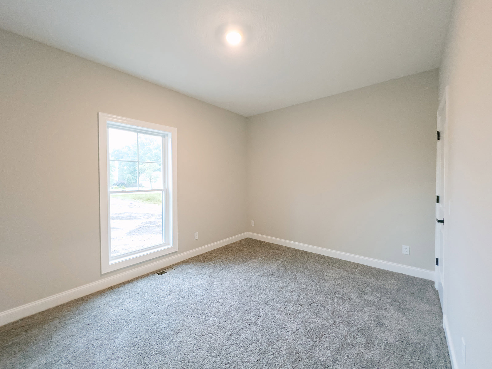 Carpeted room with white-framed window overlooking trees, ceiling light fixture, neutral walls with base molding