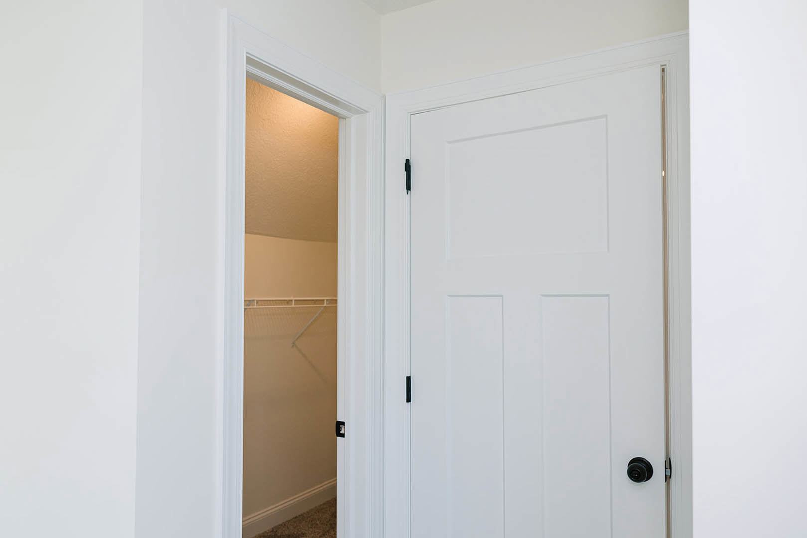 White paneled door with black hinges partially open to reveal a closet, set against smooth white walls in a modern interior.