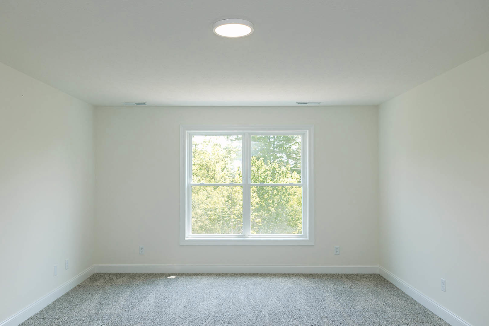 Carpeted room with white walls, large window overlooking trees, and ceiling light fixture