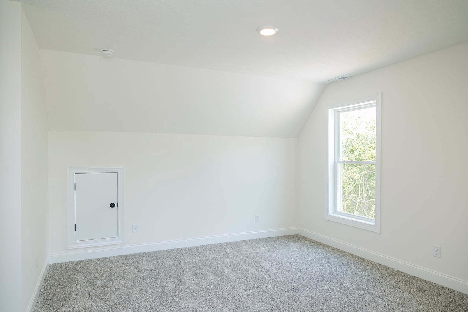 Carpeted bedroom with white walls, large window overlooking trees, white door with black knob, ceiling light fixture
