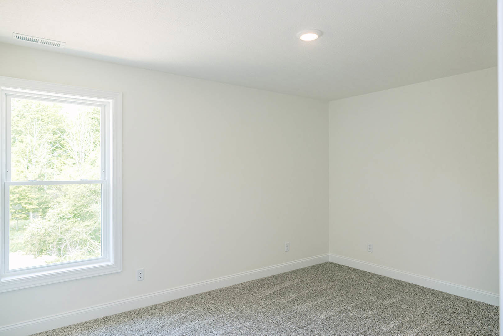 Neutral-toned carpeted room with plaster walls, large window framing leafy trees, and flush ceiling light fixture