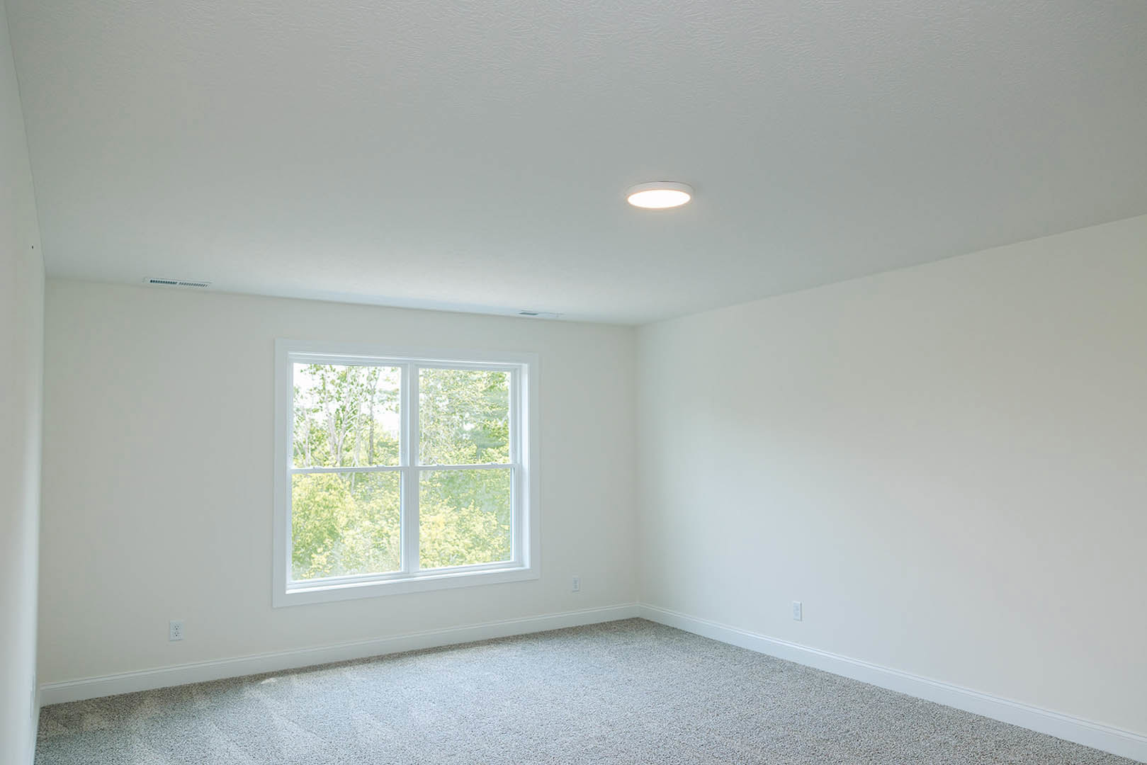Bright room with white walls, plush beige carpet, large window overlooking green trees, and recessed ceiling light fixture