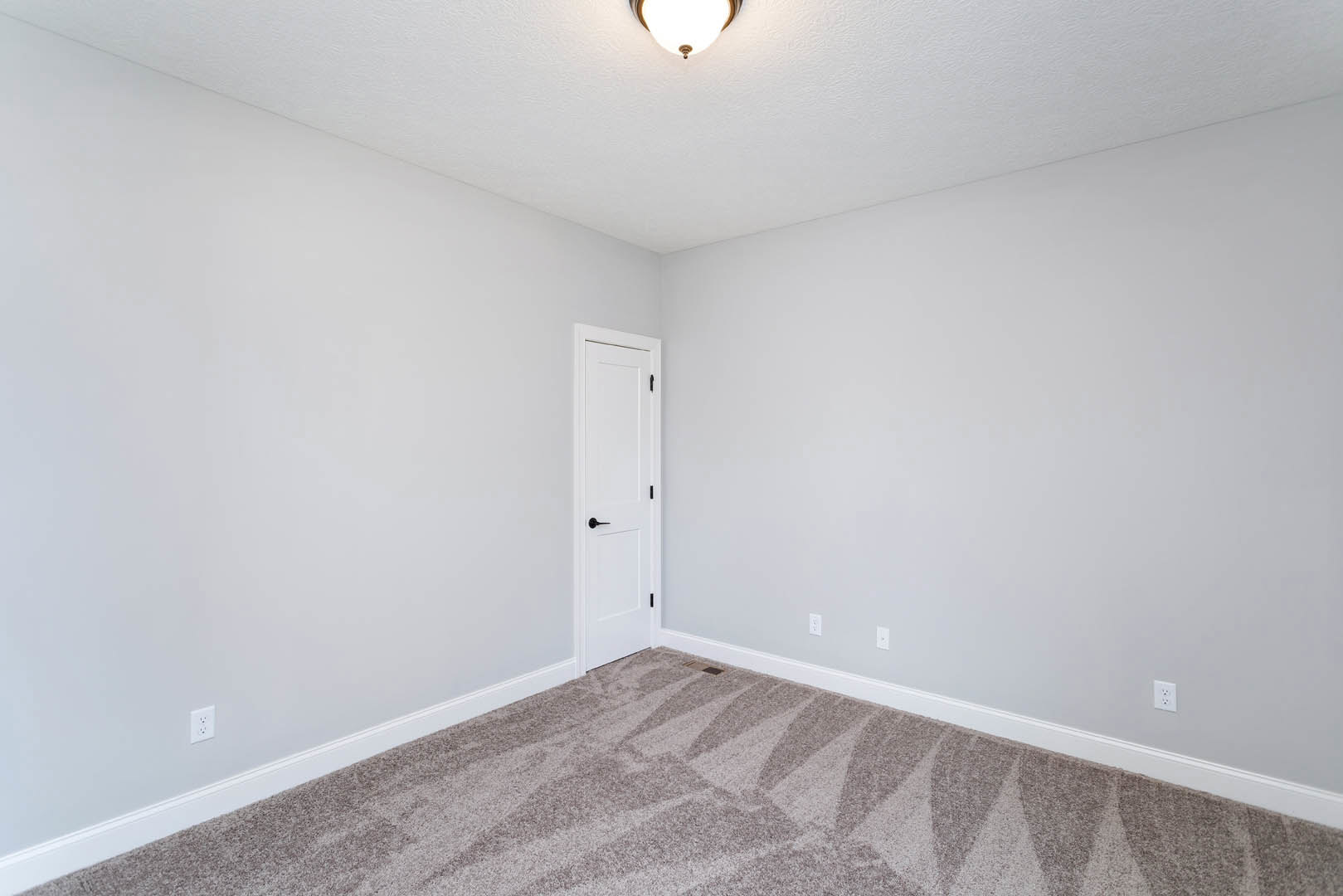 White door with black handle, white walls, beige carpeted floor, ceiling light fixture, simple molding along baseboards.