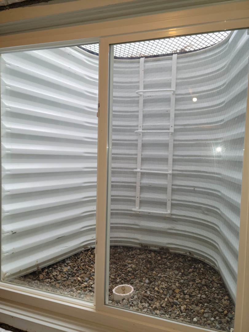 Glass door leading to a room with a white ladder mounted on the wall, sunlight streaming through windows, white object and small rock on the floor, visible hole in the ground near