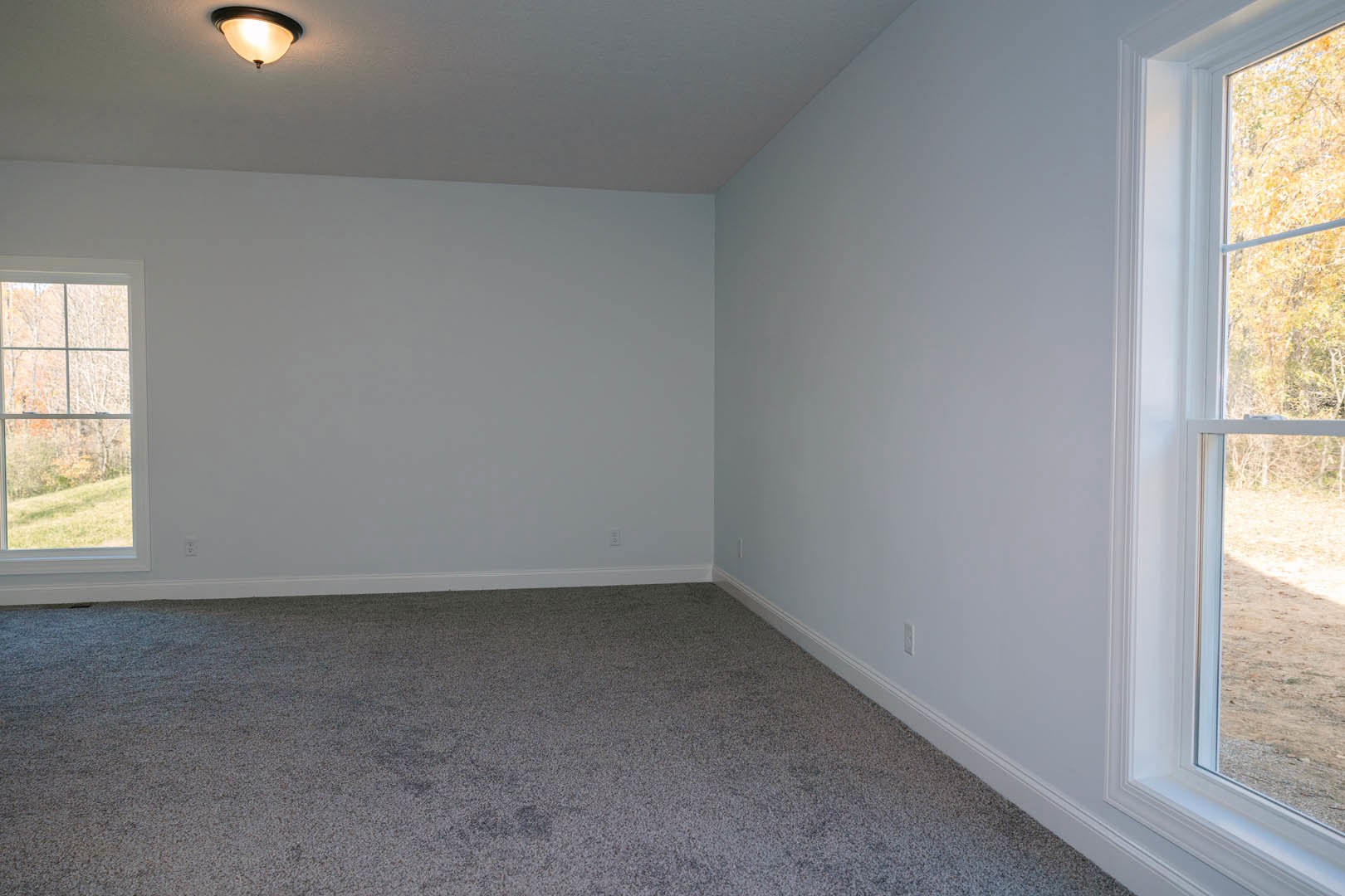 Neutral-toned room with grey carpet, white-framed window overlooking trees, wall-mounted light fixture, and smooth plaster walls