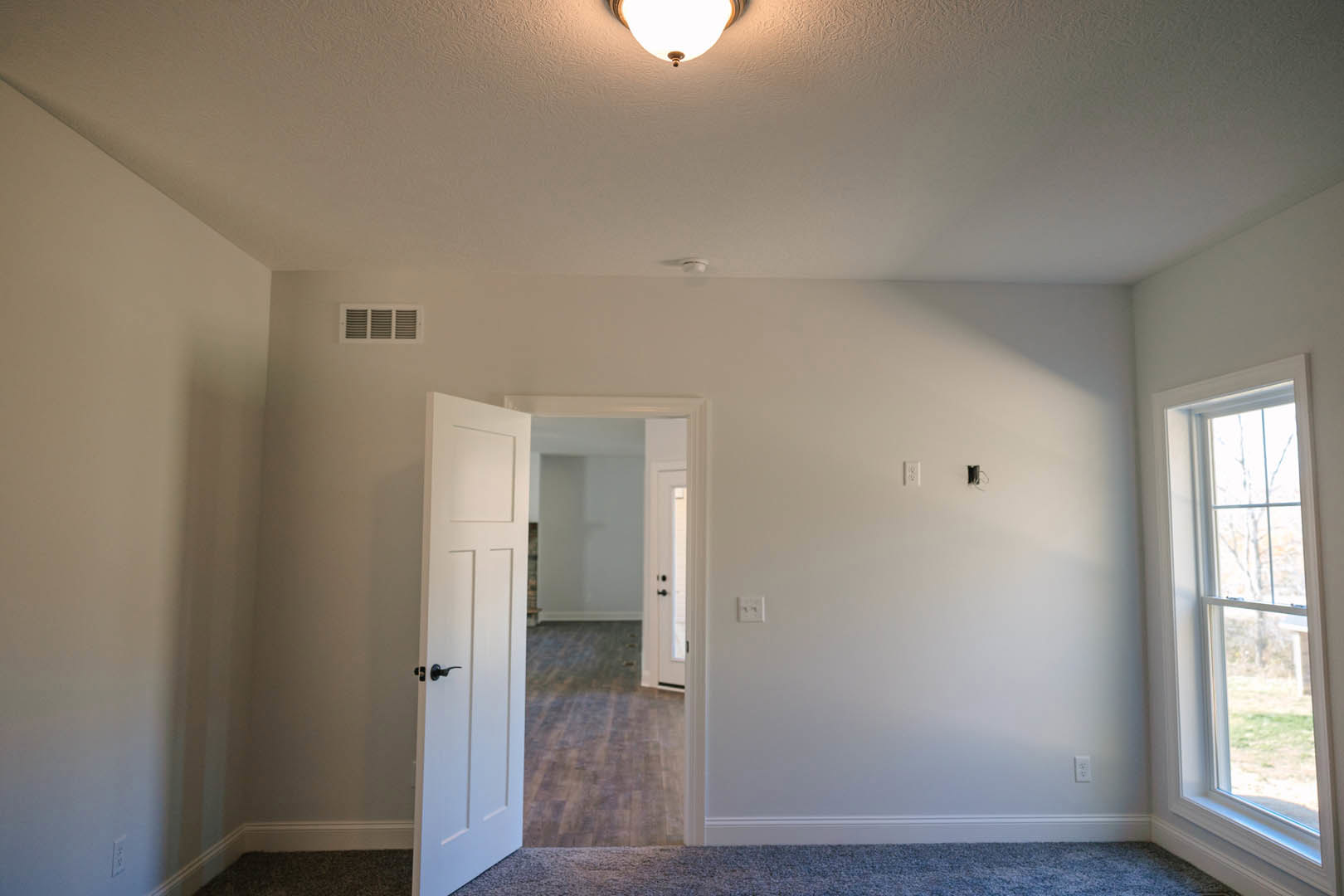 White plaster walls and ceiling with crown molding, open wooden door, blue carpet flooring, window showing leafy tree outside, ceiling light fixture illuminated, close-up of metal