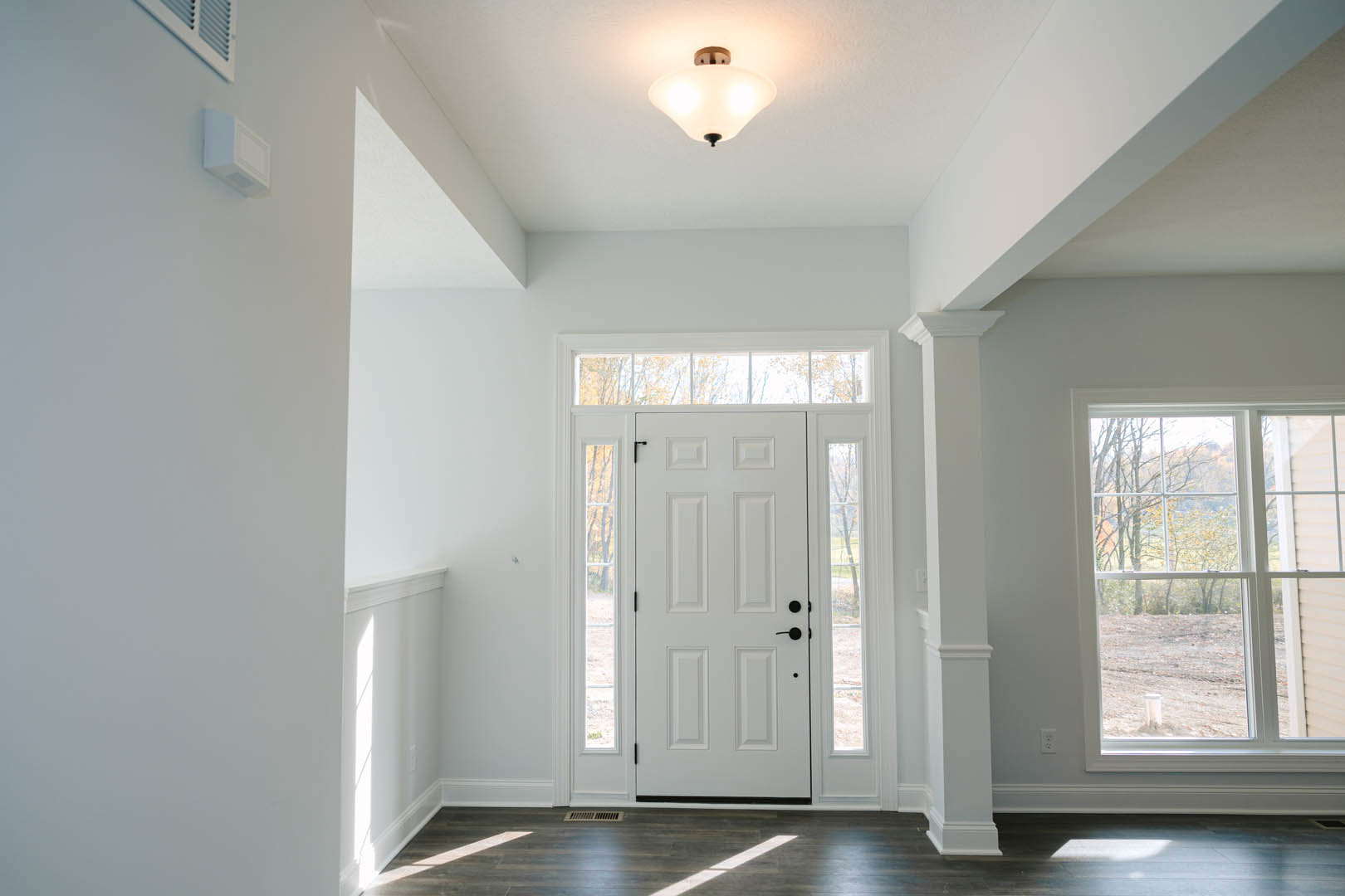 White paneled door with black handles, adjacent to a window showing green trees outside, wooden floor, ceiling light fixture, and white wall molding