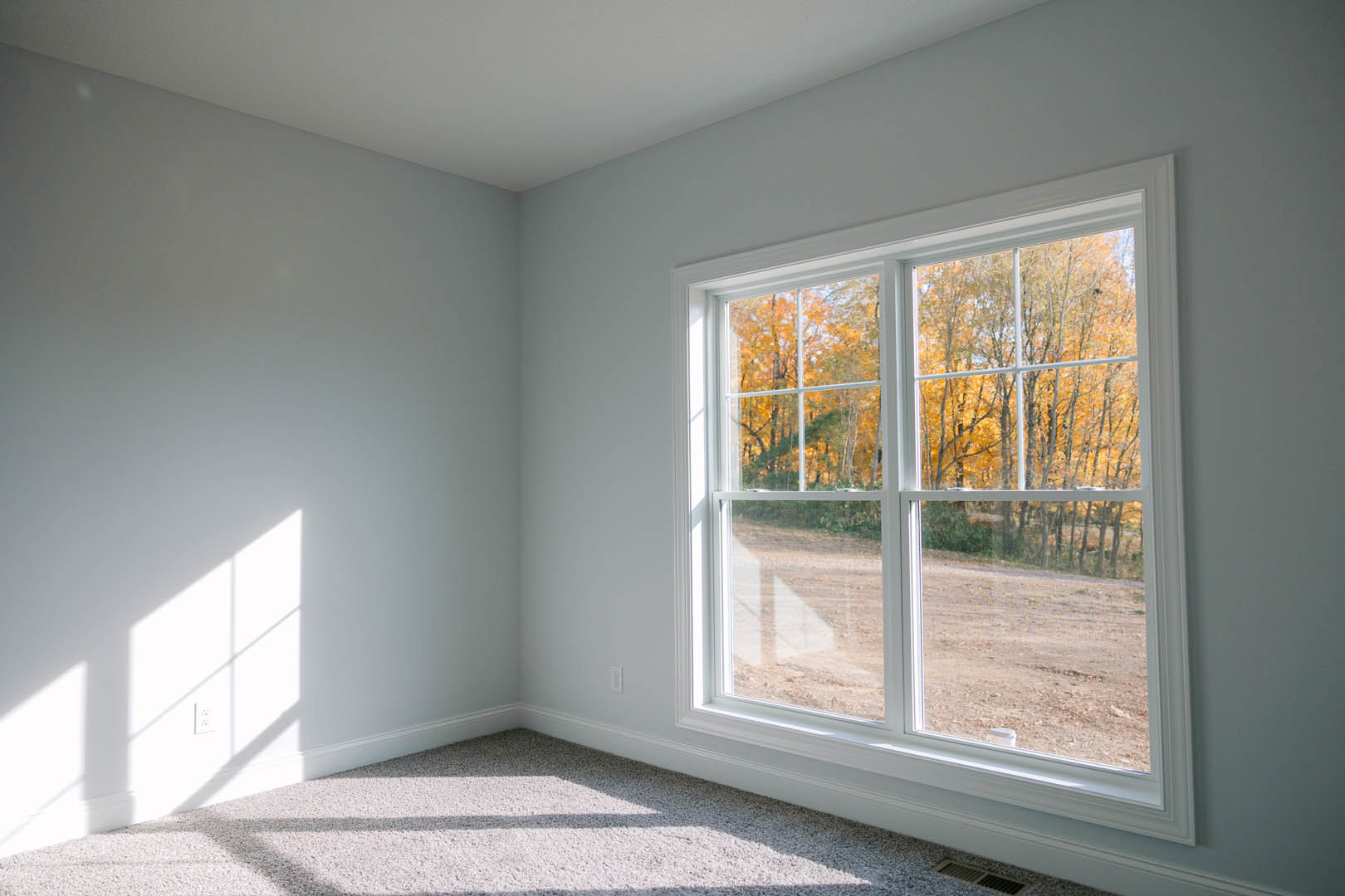 Spacious room featuring a large window with views of leafy trees, white walls illuminated by natural light, and plush white carpet flooring