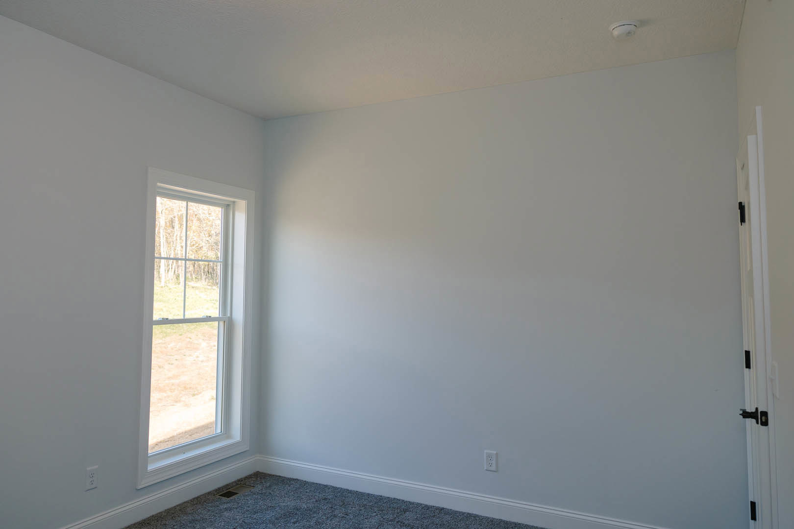 Bedroom with beige carpet, white walls, large window overlooking green trees, and natural light filling the space