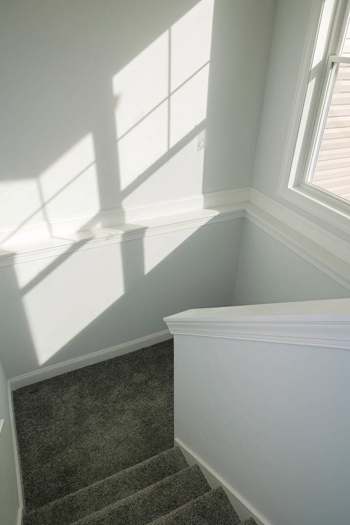 White staircase with carpeted steps, white plaster walls, window casting shadows, and decorative molding in a bright indoor space.