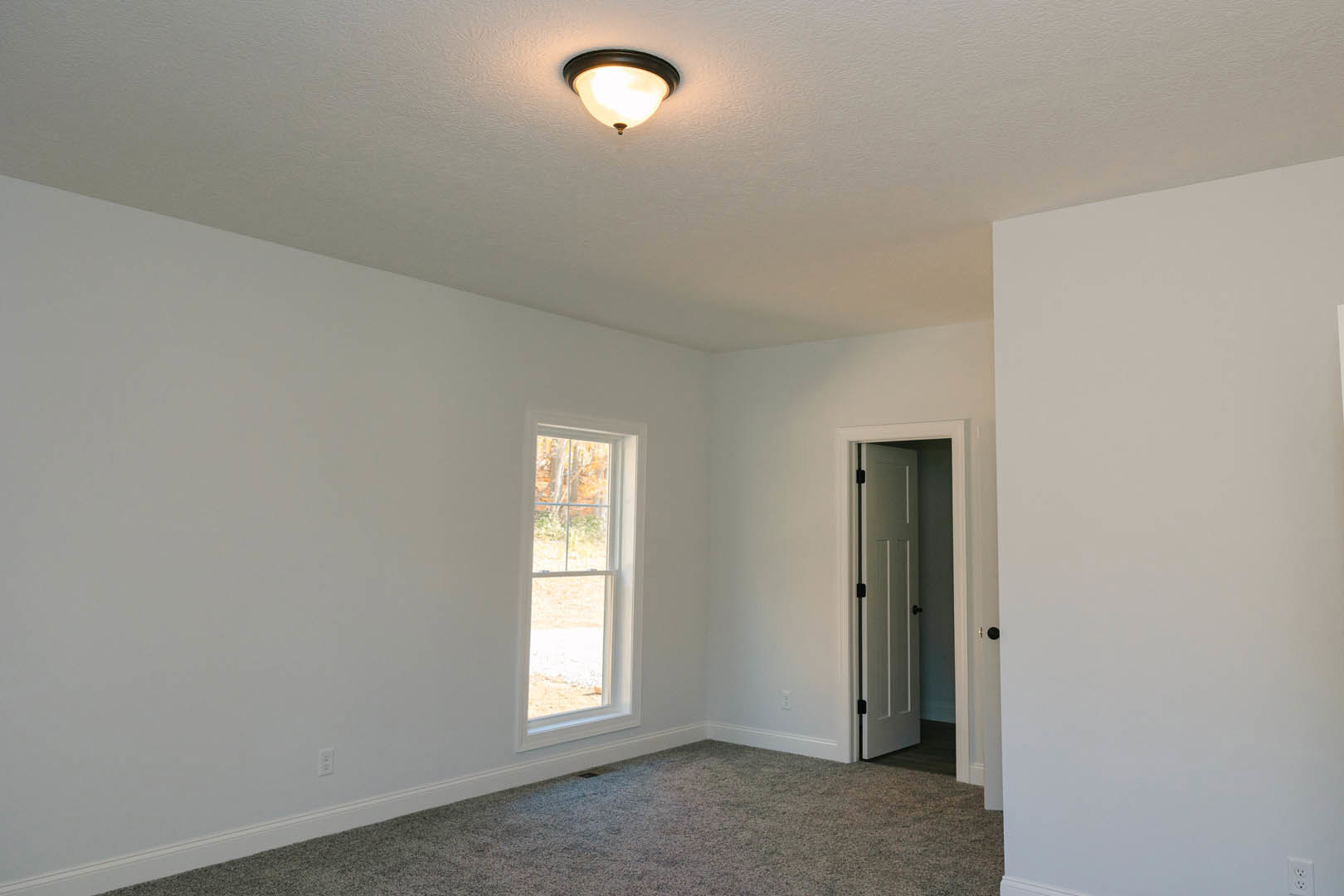 White plaster walls, paneled door, large window with outdoor view, beige carpet flooring, ceiling light fixture, crown molding trim