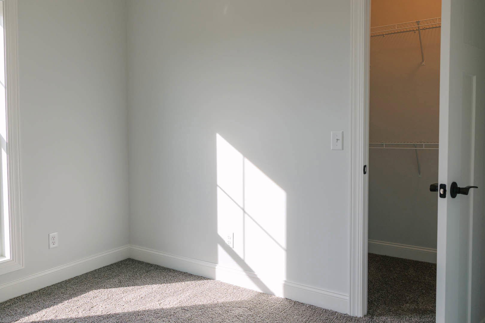 Bedroom with white walls, open closet door, carpet flooring, and brushed metal door knob