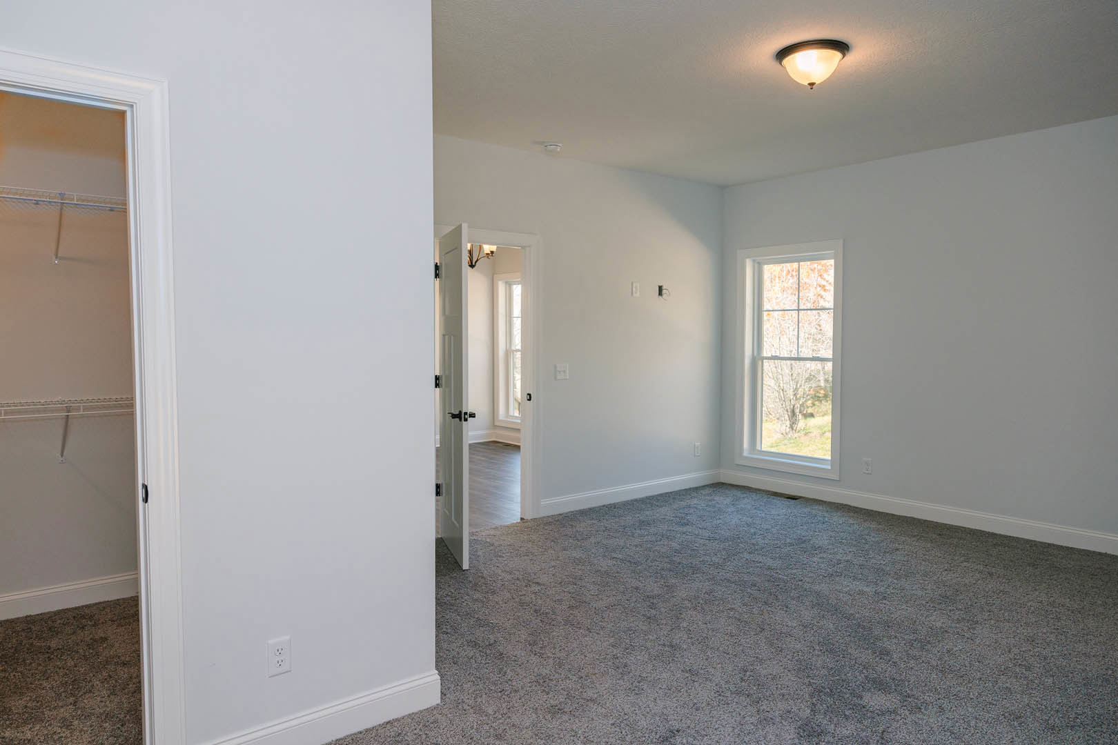 Carpeted room with white walls and trim, large window overlooking trees, single door, ceiling light fixture, metal bar mounted on wall