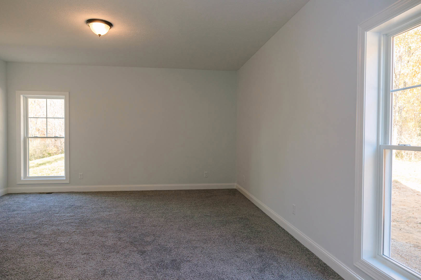 Neutral-toned room with white-framed window overlooking trees, wall-mounted sconce, ceiling light, light laminate flooring, and plush carpet