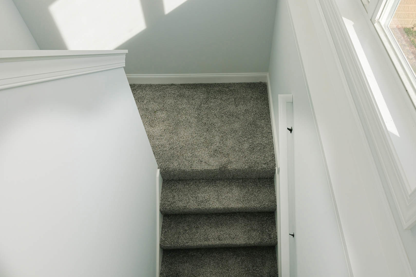 Carpeted staircase with white painted walls, shadow cast along wall, and detailed molding visible near steps