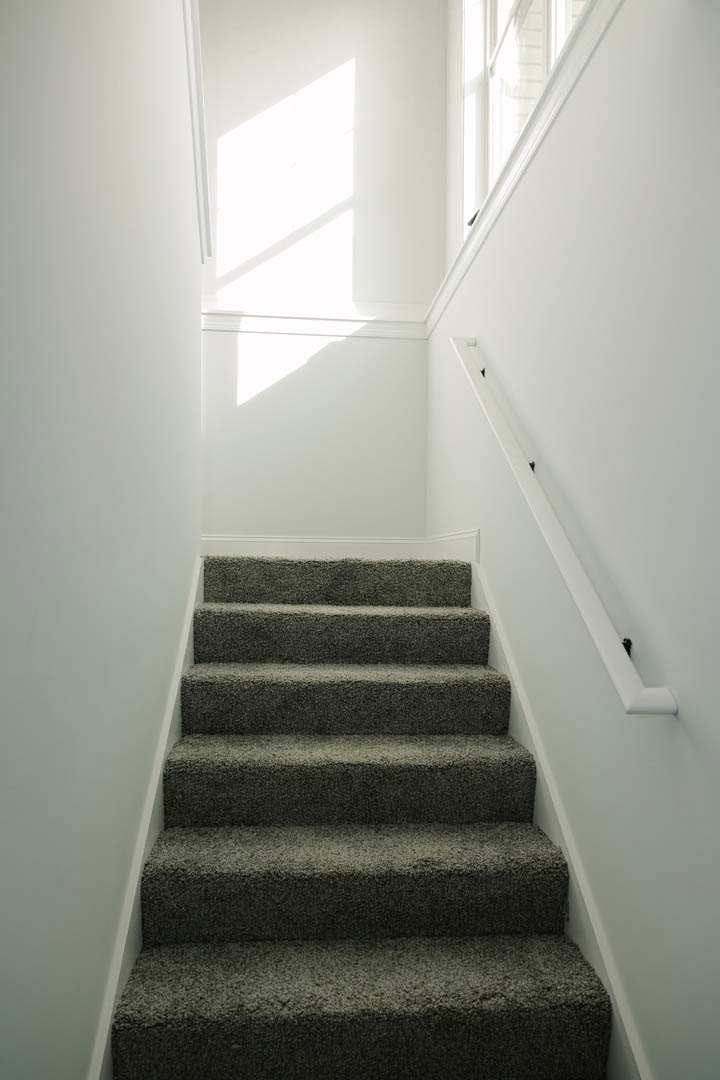 Carpeted staircase with white walls, wooden handrail, and natural light from nearby window