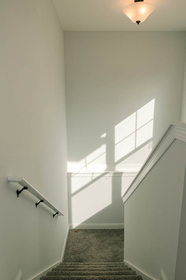 White staircase with carpeted steps and wooden handrail, adjacent to a white wall with black hooks and a ceiling fan above, illuminated by daylight.