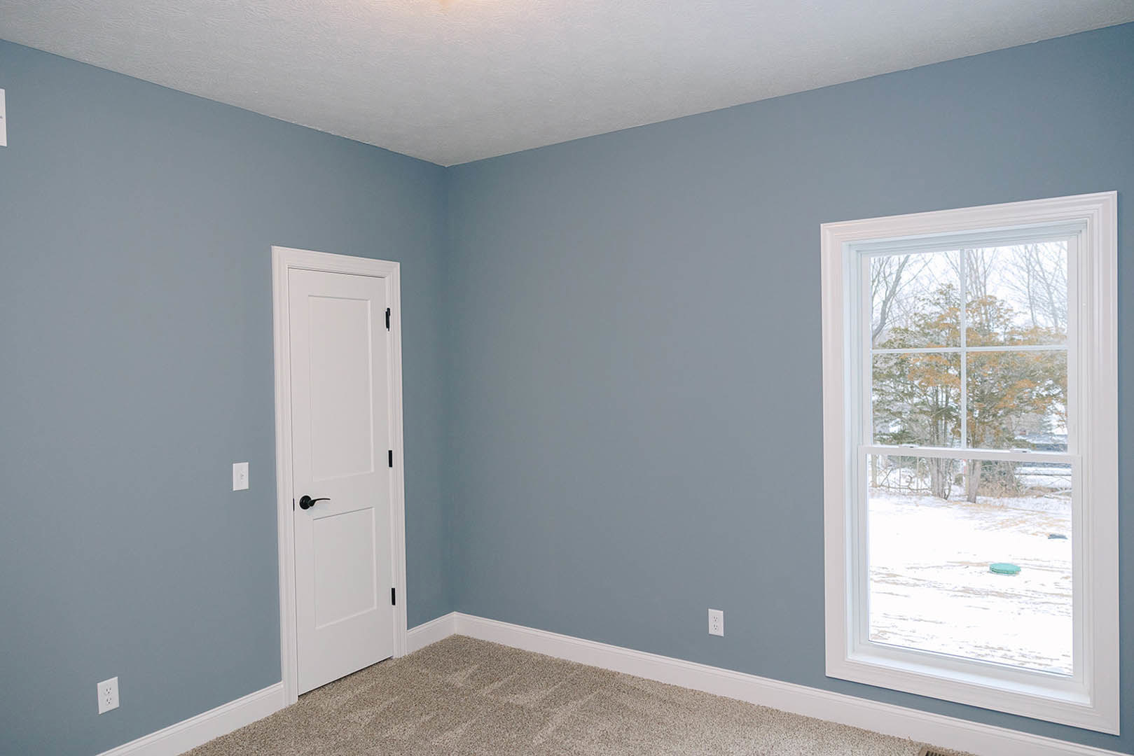 White door with black handle beside large window overlooking snowy yard and trees, blue accent ceiling, plush carpet flooring, smooth plaster walls