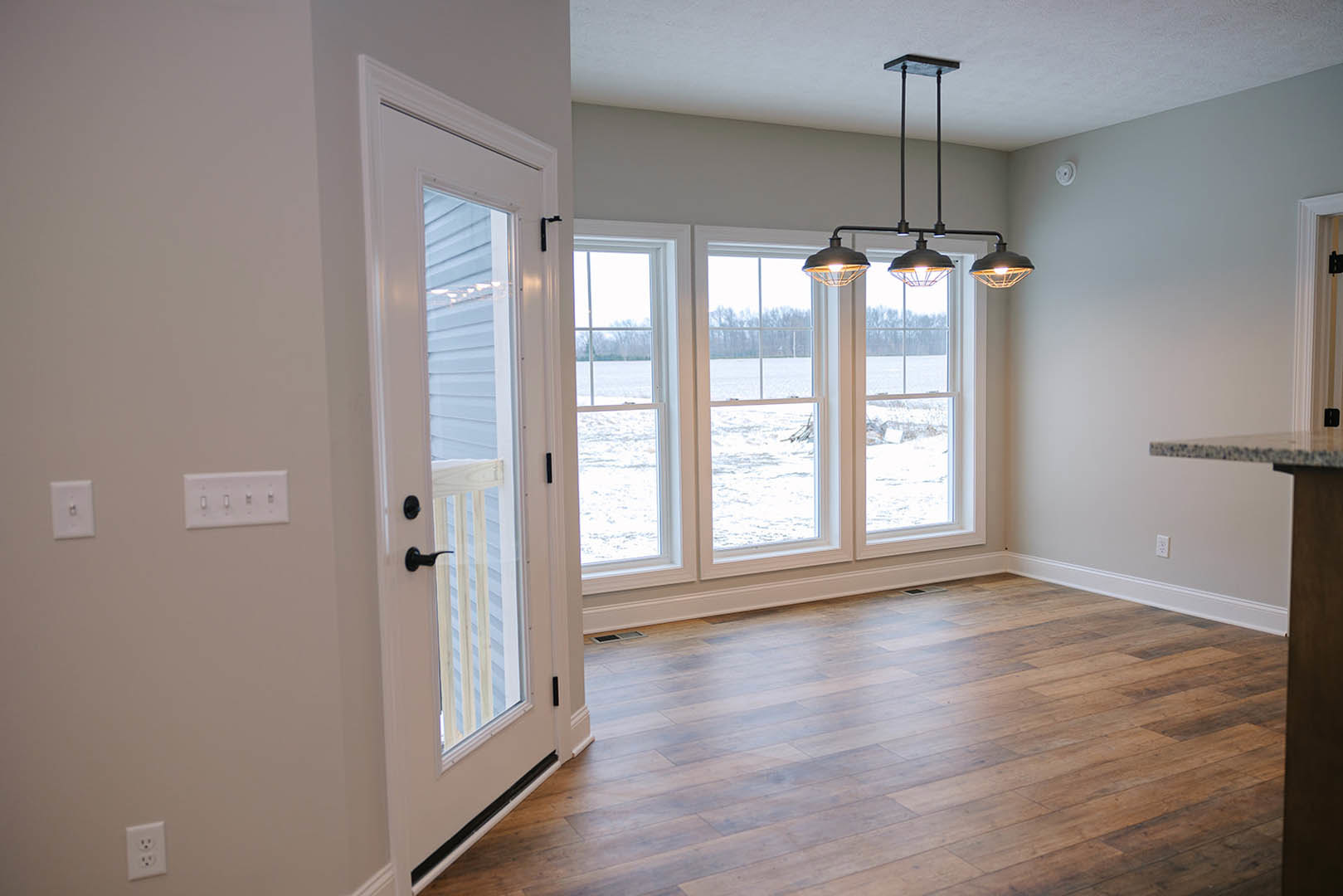 Wood flooring, white walls, glass-paneled door, large window, ceiling light fixture, electrical outlet, and light switch visible in custom home interior.