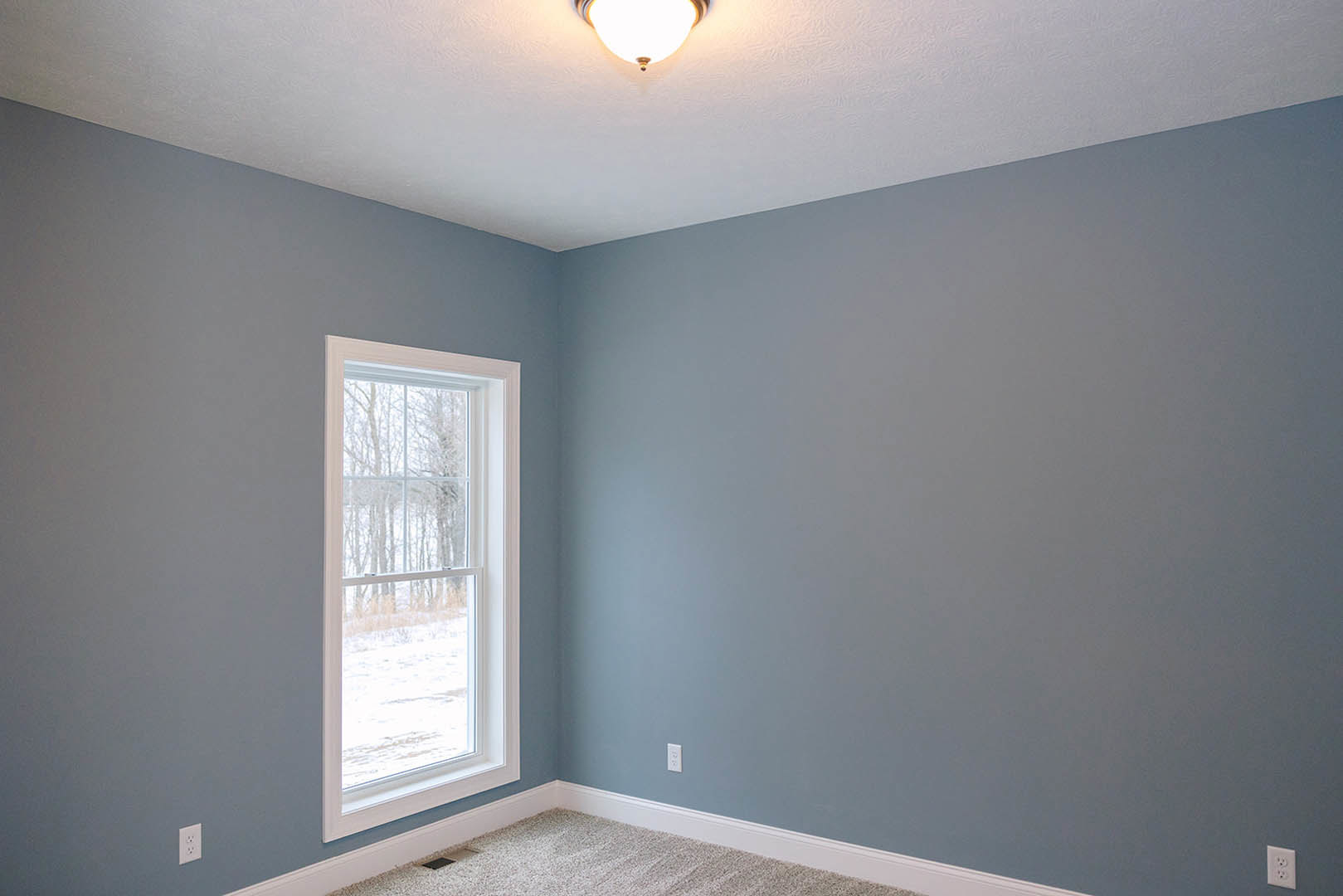 Carpeted room with white plaster walls, large window overlooking snowy forest, ceiling light fixture illuminated, simple molding, window blinds partially drawn